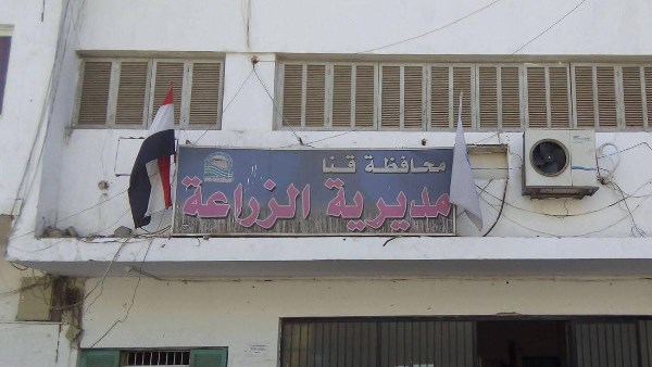 زراعة قنا: توزيع 46.5% من مقررات الأسمدة الأزوتية للمزارعين ونتابع وصولها للمستحقين