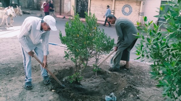 أخبار قنا| مدمن مخدرات ينهى حياة والده المسن.. وإنهاء خصومة ثأرية بين عائلتين بقرية الخطارة