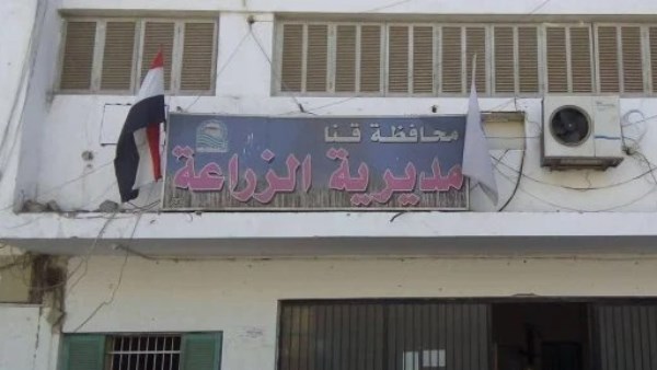 زراعة قنا تعلن بدء الحملة الشاملة لمكافحة الفئران والقوارض لحماية المحاصيل
