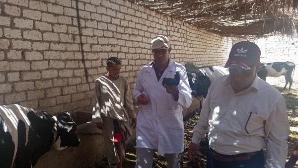 انطلاق الحملة القومية للتحصين ضد الحمى القلاعية وحمى الوادي المتصدع بالأقصر