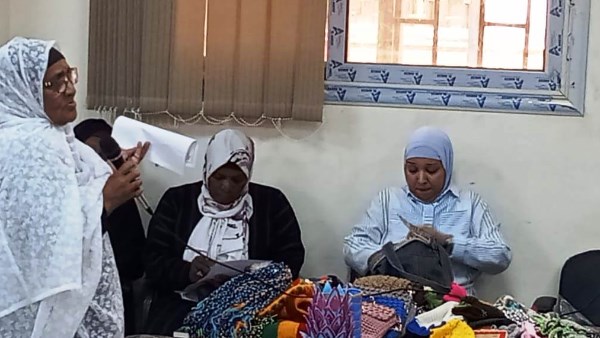 أسوان.. قافلة طبية مجانية بنصر النوبة ودعم صاحبات المشروعات المتناهية الصغر بكلابشة