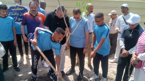 تشجير الميادين والشوارع والمناطق السكنية ضمن مبادرة ” أسوان بشبابها أجمل ” بمشاركة مجتمعية جادة ومتميزة لتحويل زهرة الجنوب إلى نموذج للطريق الأخضر