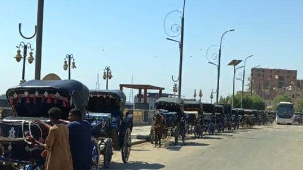 محافظ أسوان يتابع تنظيم منظومة عربات الحنطور بإدفو