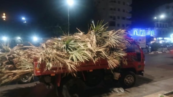 محافظ أسوان يُوجّه بإتخاذ الإجراءات القانونية تجاه صاحب مرسى لقيامه بقطع نخيل الدوم بكورنيش النيل القديم
