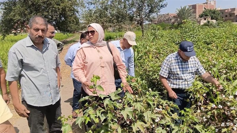 مدير زراعة الشرقية يتفقد مراكز تجميع قش الأرز