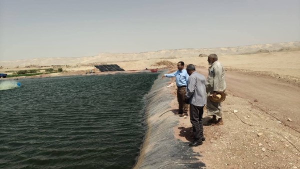 رئيس مركز بلاط بالوادي الجديد يتفقد مشروع استزراع سمكي على طريق تنيدة – منفلوط