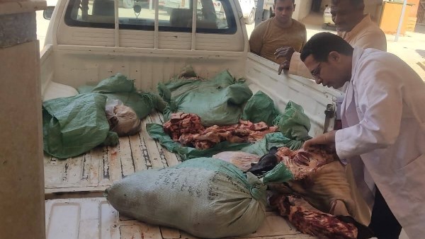 ضبط 31.5 كيلو لحوم غير صالحة للاستهلاك الآدمي بالوادي الجديد