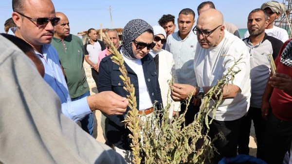 محافظ الوادي الجديد تتفقد عددًا من المشروعات الاستثمارية الزراعية ببحيرة باريس