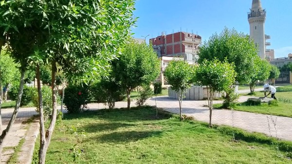 حي العجمي يواصل خطة الحدائق ورفع كفاءة المسطحات الخضراء بالإسكندرية
