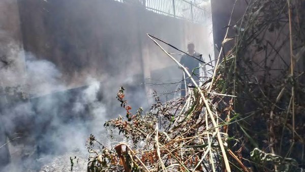 السيطرة على حريق هائل بمديرية الزراعة في دمياط دون خسائر