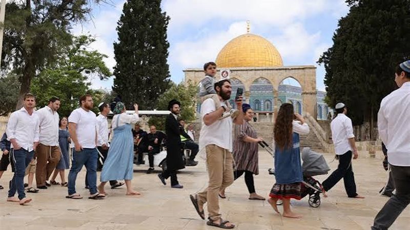 مستعمرون يقتحمون المسجد الأقصى من باب المغاربة بحماية قوات الاحتلال