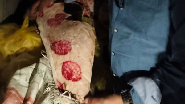 ضبط 20 طن لحوم مخالفة بالخصوص مذبوحة خارج المجازر وأخرى غير صالحة للاستهلاك