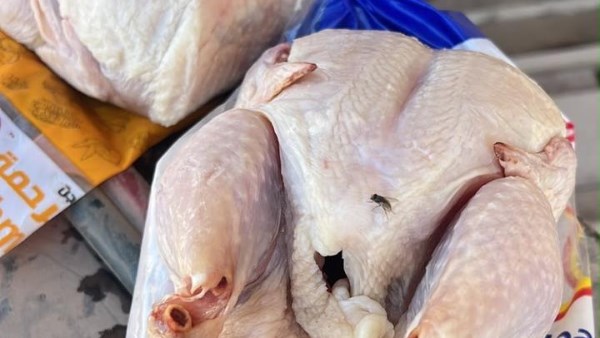 ضبط 6 أطنان دواجن عليها علامات فساد داخل ثلاجة غير مرخصة بالقليوبية