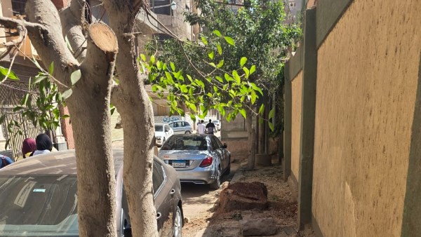 قرار عاجل من النيابة.. التحقيق في واقعة تقطيع الأشجار بمحيط مدرسة صناعية بالمحلة