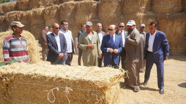 131 ألف فدان أرز.. محافظ الغربية يتابع مواقع التجميع ويشدد على منع حرق القش