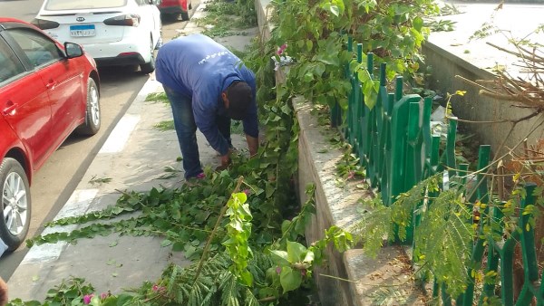 الشرقية تتزين احتفالا باستقبال عيدها القومي الـ145.. صور