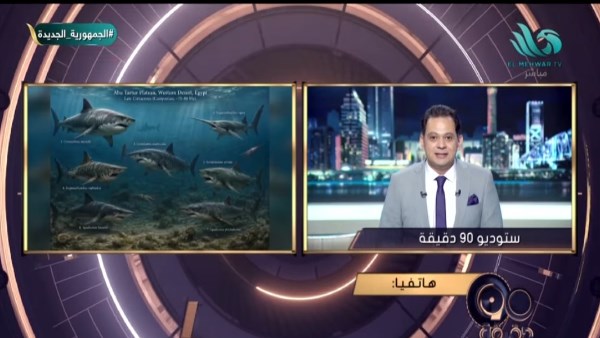 اكتشاف مقبرة لأسماك قرش في الصحراء الغربية.. د. محمد قرني يكشف التفاصيل