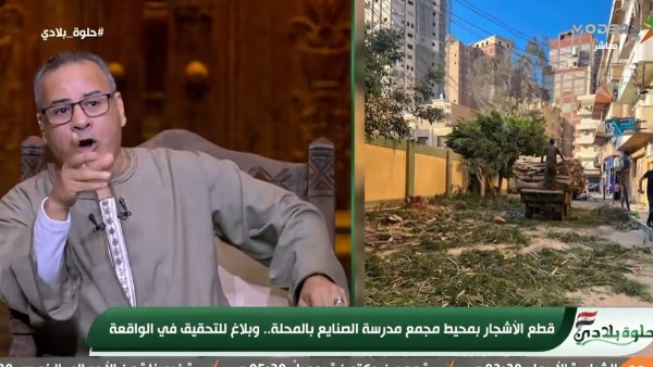 بسبب قطع الأشجار بالغربية.. القرموطي ينفعل: تعبنا ومش عارفين مين المسئول