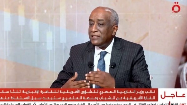 نائب وزير الخارجية: الشركات المصرية حققت اختراقات كبيرة في الأسواق الإفريقية