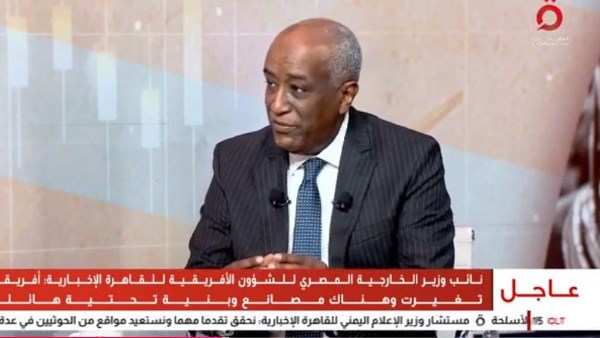 الخارجية: 14 مليار دولار استثمارات مصر في أفريقيا وتتوزع على الطاقة والبنية التحتية والطرق