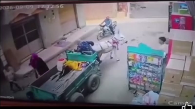 الأجهزة الأمنية تفحص فيديو لصغير يدفع طفلا أسفل عربة كارو