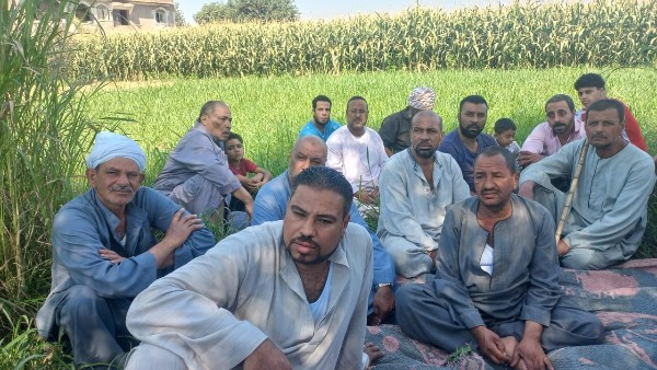 من حقول سوهاج إلى الأمن الغذائي.. «الزراعة» تدعم التوسع في المحاصيل الزيتية