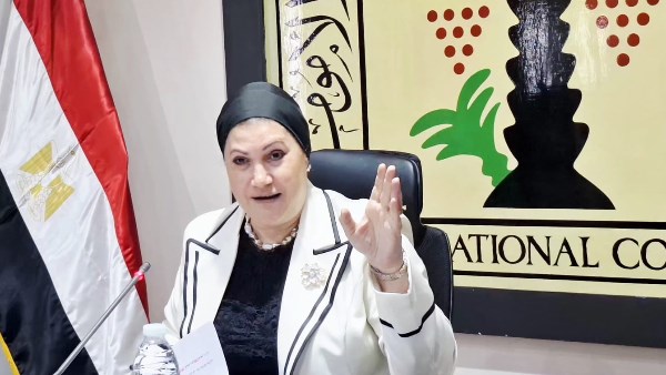 بعد تداول صورها وآثار العنف على وجهها … تحرك عاجل من «المجلس القومي للطفولة والأمومة» ينهي معاناة طفلة الهانوفيل بالتنسيق مع النيابة العامة