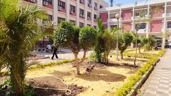 جامعة عين شمس عن قطع الأشجار بكلية التجارة: تصميمات جديدة للاند سكيب