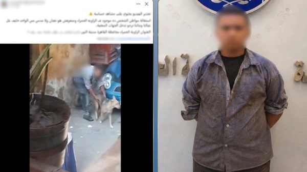 مريض نفسى.. القبض على متهم بالتعدي على كلب في القليوبية