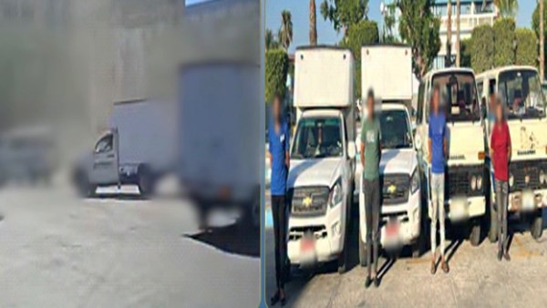 القبض على 4 أشخاص استعرضوا بسياراتهم فى زفة بالإسكندرية