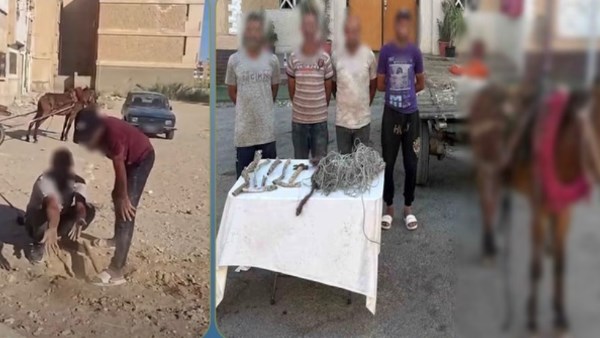 القبض على المتهمين بسرقة كابل إتصالات بالسويس