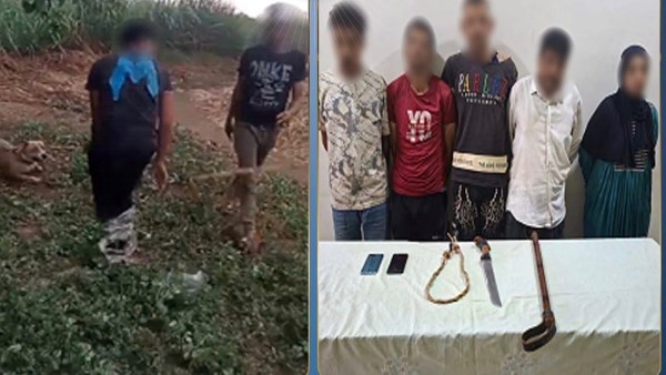 بسبب خلافات مالية.. القبض على المتهمين بإستدراج عامل والتعدى عليه بكلب بالغربية