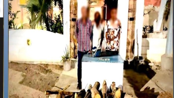 بيبيعوا أخشابها للتجار.. القبض على المتهمين بقطع الأشجار بالغربية