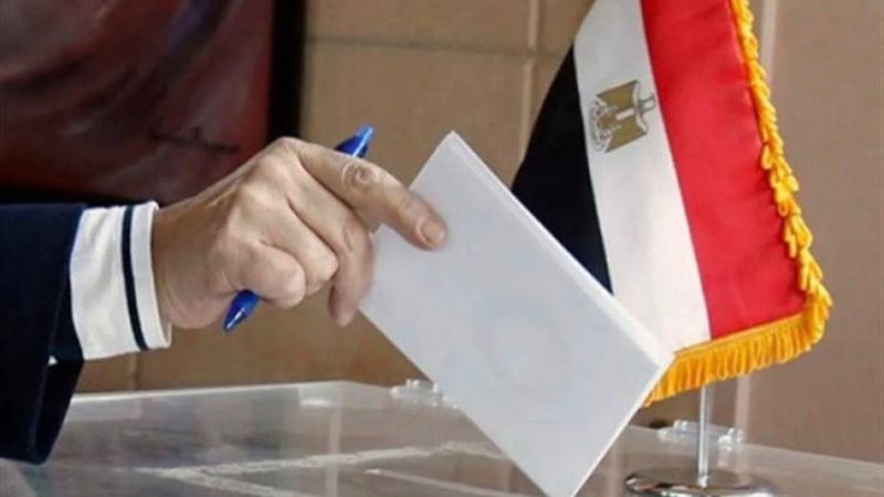 متى يقيد مكتسب الجنسية المصرية في قاعدة بيانات الناخبين؟ القانون يجيب