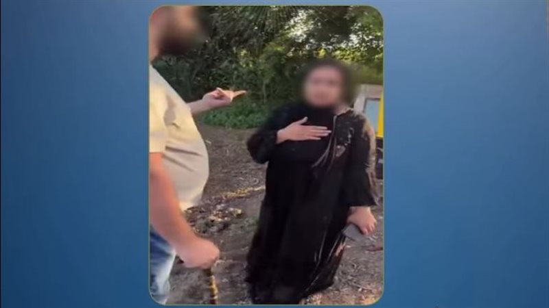 نزاع على أرض زراعية بالميراث، الأمن يكشف تفاصيل فيديو «البلطجة» بالمنوفية