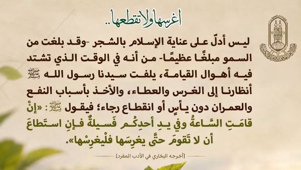 «اغرسها ولا تقطعها».. الأزهر العالمي للفتوى يعلق على ظاهرة قطع الأشجار بمنظور إسلامي