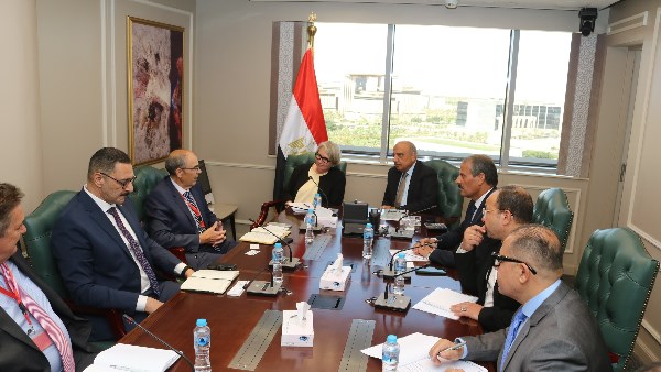 وزير الكهرباء يناقش مع سفيرة فنلندا الاستثمار في مجالات الطاقة المتجددة