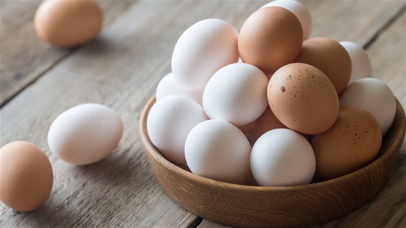 أسباب ارتفاع سعر البيض البلدي رغم انخفاض الأبيض والأحمر