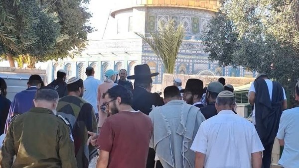 مستوطنون يقتحمون المسجد الأقصى بمشاركة جنود من جيش الاحتلال