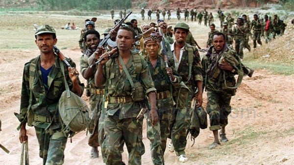 حكومة إقليم تيجراي: مقاتلينا يخوضون حربا دفاعية ضد قوات الاتحادية