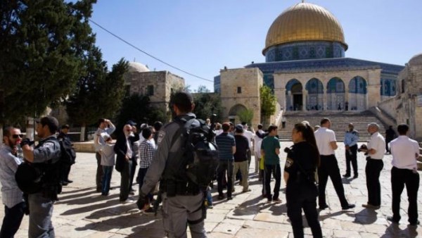 في خامس أيام عيد العرش اليهودي .. 500 مستوطن يقتحمون المسجد الأقصى
