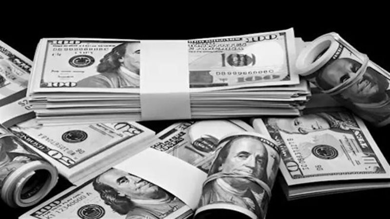 سعر الدولار فى البنوك المصرية 31 أغسطس 2026 ( أخر تحديث)
