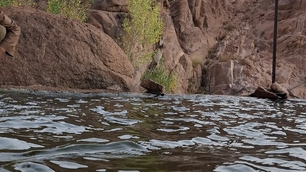 استعدادًا للسيول.. الري تنفذ 115منشأة حماية بالبحر الأحمر بـ 1.3مليار جنيه