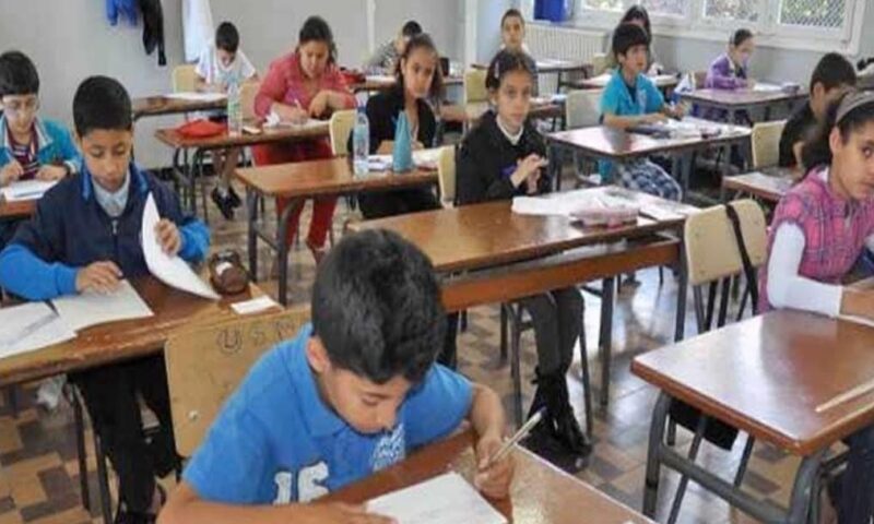 برلمانية: تخفيف أعباء مناهج الابتدائي ضرورة لحماية الأطفال |خاص