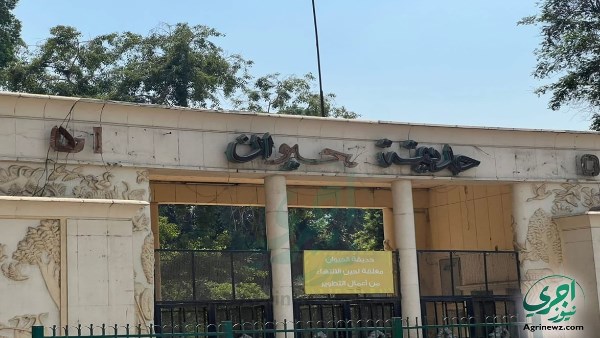 قبل افتتاحها.. مفاجآت بالجملة تنتظر زوار حديقة الحيوان بالجيزة