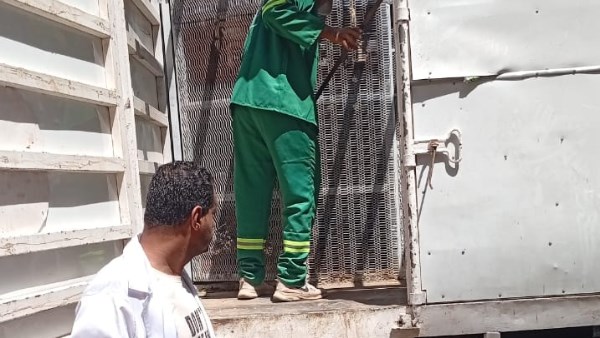 لمواجهة الكلاب الضالة.. محافظ الدقهلية يكلف بتكثيف حملات الطب البيطري بحي غرب
