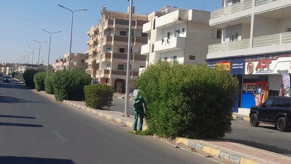 سفاجا تواصل أعمال قص وتهذيب الأشجار لتحسين المظهر الحضاري ورفع كفاءة الشوارع