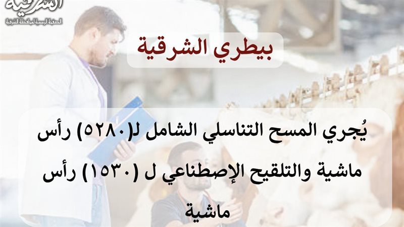 بيطري الشرقية: إجراء المسح التناسلي والتلقيح لـ6810 رأس ماشية خلال أغسطس الماضي