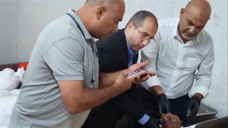 9 آلاف رأس ماشية و1.3 مليون طائر، حصاد بيطري القليوبية بمجازر وتفتيش اللحوم خلال أغسطس