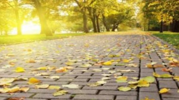 انتهاء صيف 2026..  موعد بداية فصل الخريف في مصر والخريطة المناخية